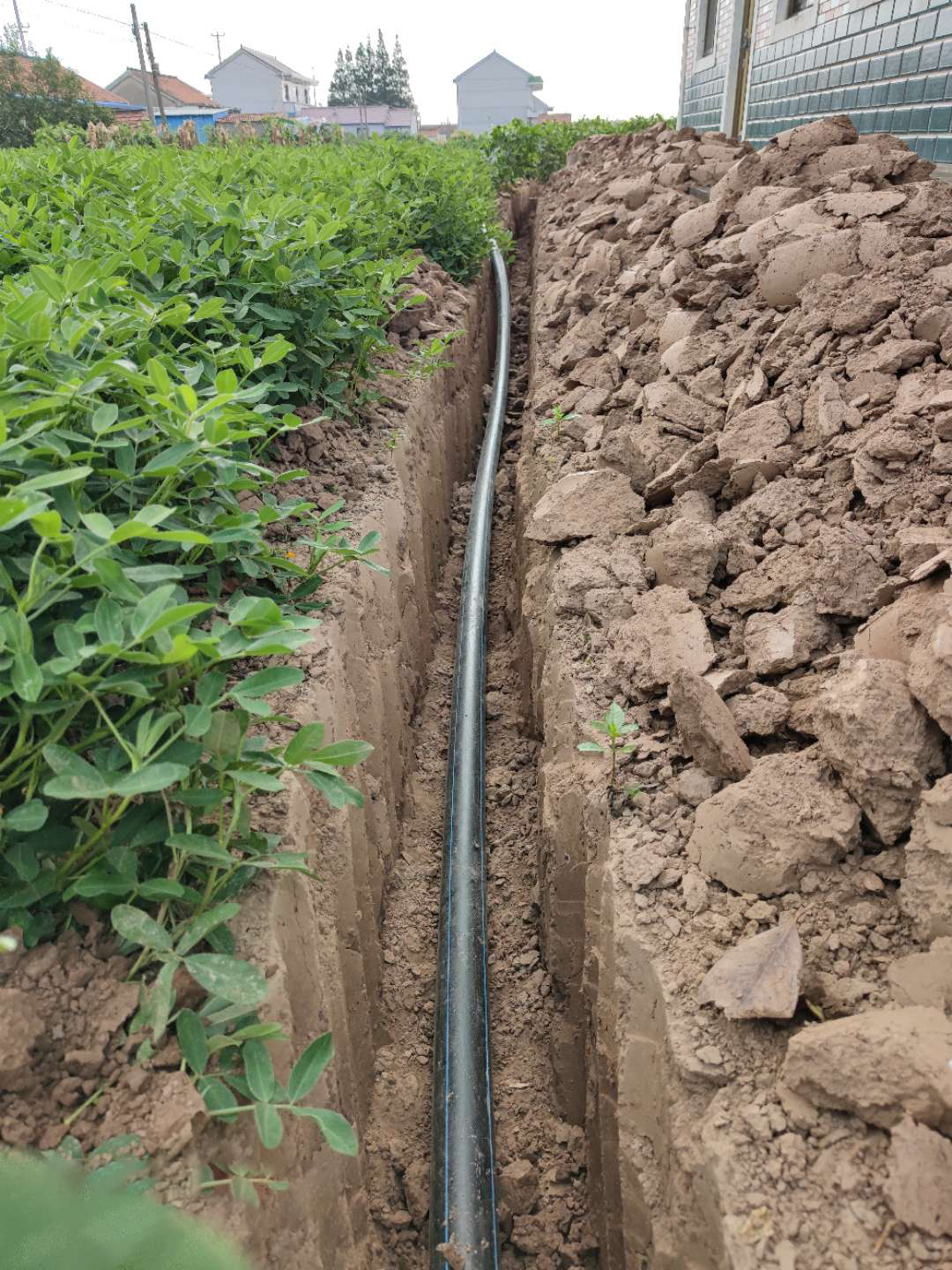单相流负压排水系统助力农村污水治理工程